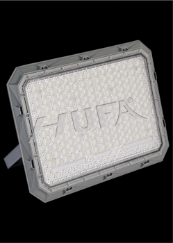 FNL 29